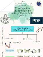 Clasificación Biotipológica o Antropológica de La Pelvis