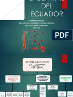 Art. Columna Vertebral. Cabeza, Tórax