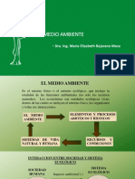 Medio Ambiente