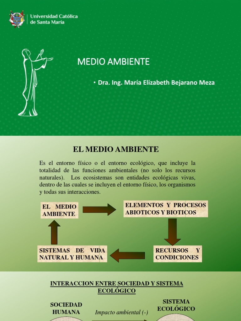 Medio Ambiente | PDF | Entorno natural | Naturaleza