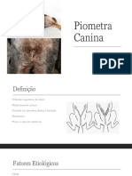 Piometra Canina PDF