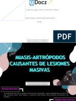 Miasis Artropodos Causantes de Lesiones Masivas 272383 Downloable 758808