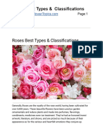 Roses Best Types & Classifications