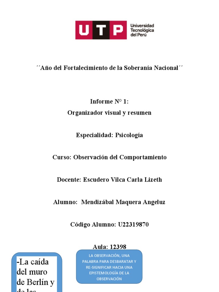Ejer. 01 Organizador Visual. LA OBSERVACION | PDF