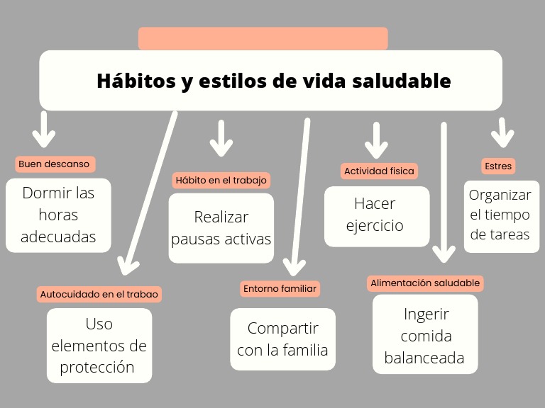 Hábitos y Estilos de Vida Saludable | PDF