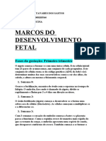 Desenvolvimento fetal 1o-3o trimestre