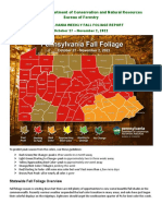 DCNR Week Five Fall Foliage Report 2022