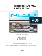 Procedimiento Trabajo Seguro Nesd 1