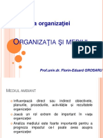 Organizatia Si Mediul