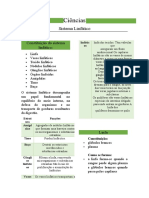 Sistema linfático e suas funções