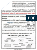 Actividad Evolución y Mutación