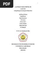 Download Makalah Sindrom Koroner Akut by heru elfasiry SN60338037 doc pdf