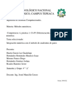 C4-P1 Diferenciación e Integración