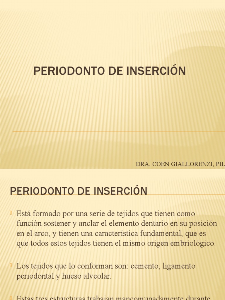 Periodonto de Inserción | PDF | Hueso | Anatomía