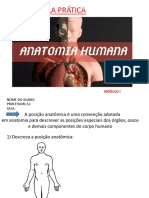 Apostila de Anatomia Técnicas