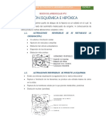 Patología Sesión #02