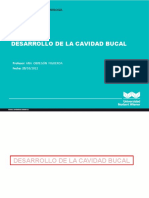 Práctica #8. Desarrollo de La Cavidad Bucal.