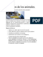 Derechos de Los Animales