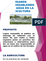 Usamos Responsablemente El Agua en La Agricultura