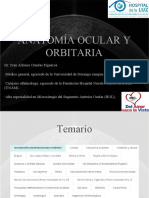 Anatomía Ocular: La Córnea