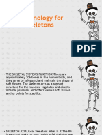 Terminology For Skeletons
