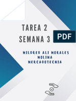 TAREA 2 SEMANA 3M - Merged