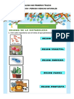 Ciencias Naturales 2y 3