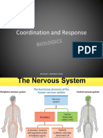 Coordination and Response PPT Notes