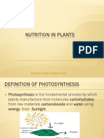 Nutrition in plants notes