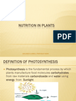 Photosynthesis in Plants: A Concise Guide