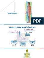 Torax Preguntas Ingresa