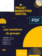 Projet de Marketing Digital