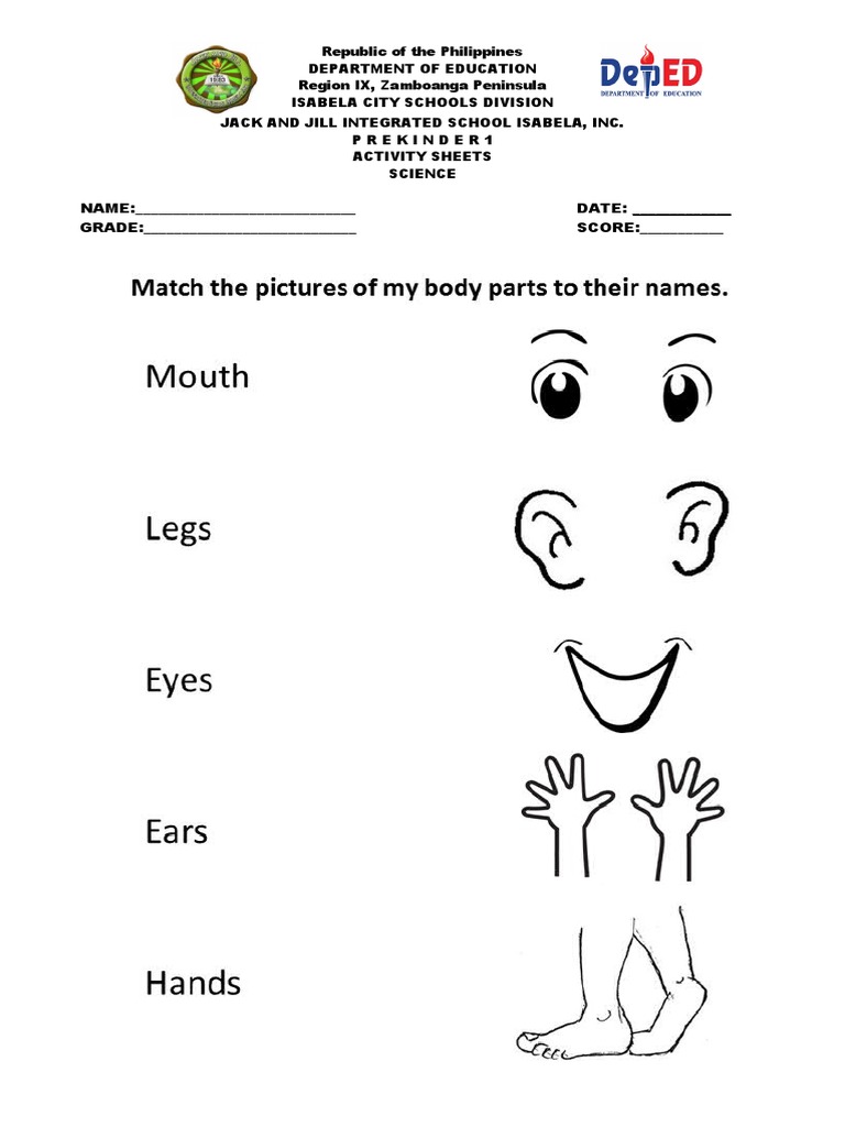 Parts of The Body | PDF