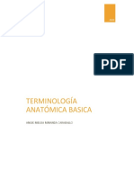 TERMINOLOGIA ANATOMICA BASICA Miranda 2022