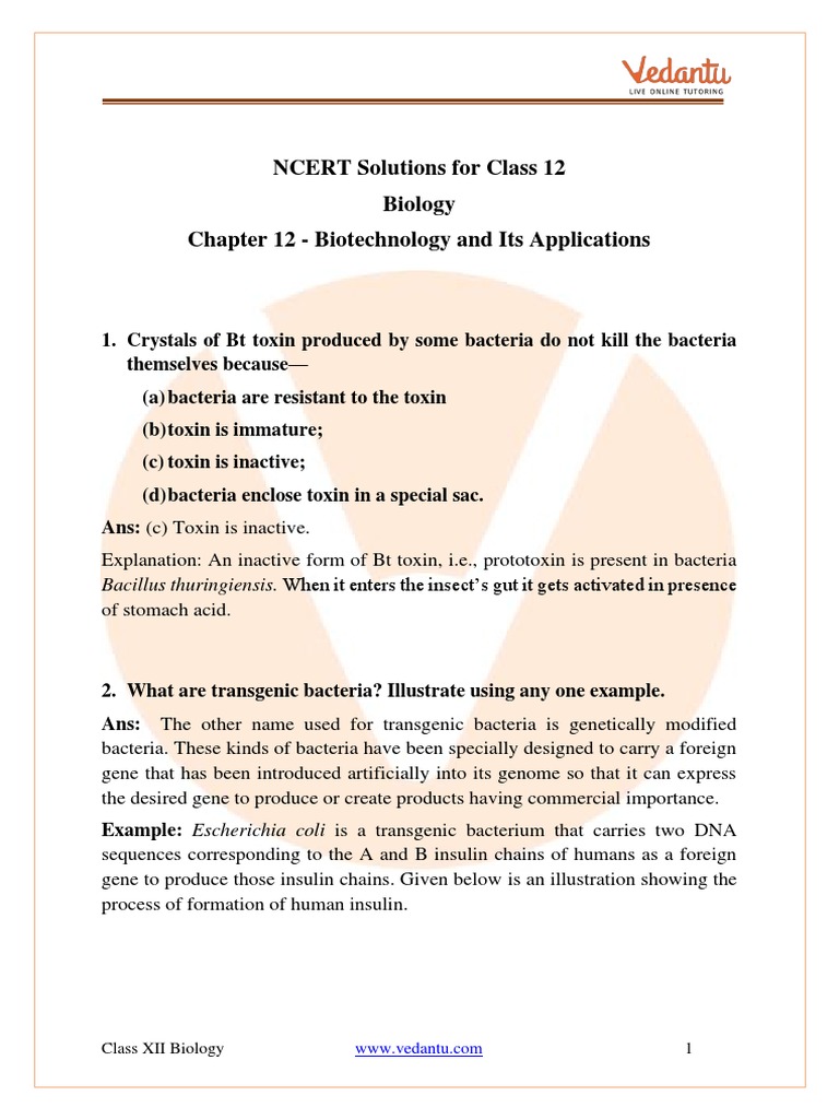 Biotechnology Applications in Class 12 | PDF | Genetically Modified ...