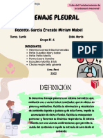 Drenaje Pleural Grupo 6