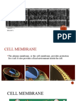 6-Transport Molecules Across Cell Membrane