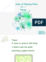 WT - Anatomy of Flowering Plants