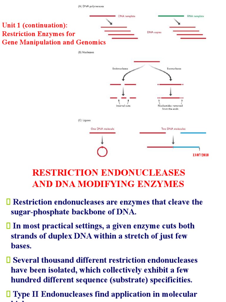 Restriction Endonucleases For Gene Manipulation Unit 1 (Portion