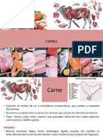 Aula - Carnes - 2022.2