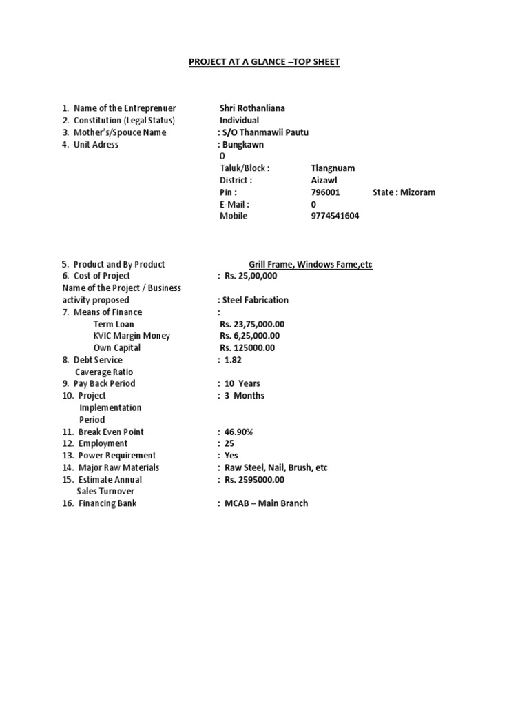 Pmegp Project Report Download Pdf