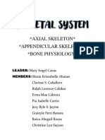 Skeletal-System