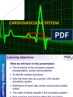 Cardiovascular System2