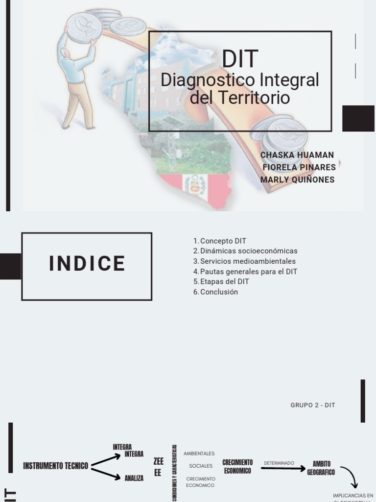 Diagnóstico Integral del Territorio (DIT) | PDF