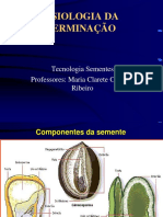 GERMINAÇÃO 