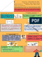 Desarrollo de La Investigación