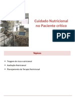 Cuidado Nutricional No Paciente Crítico (Ipgs)