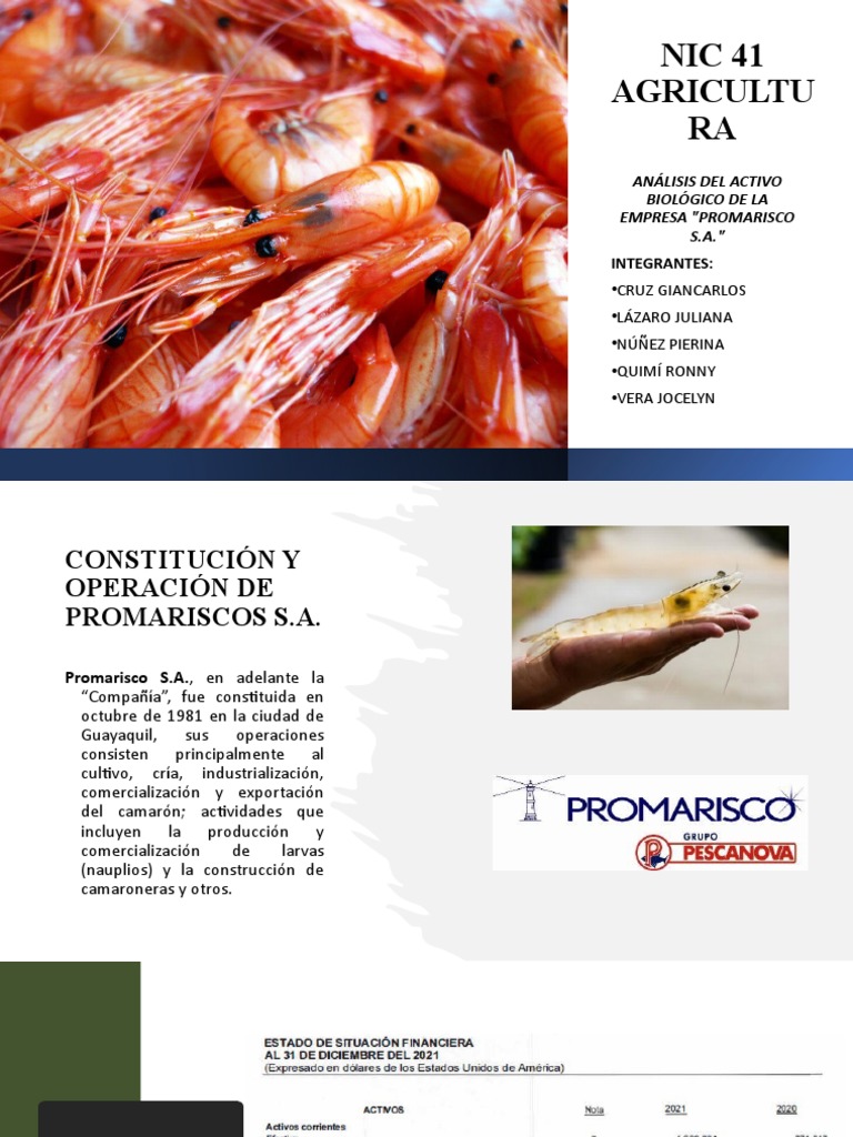 Empresa Promarisco Nic 41 Agricultura | Descargar gratis PDF | Economias