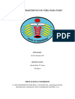 Laporan Praktikum Uji Coba Pada Paku