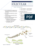 BiochemWorkbook 5.5a MOLECULAR